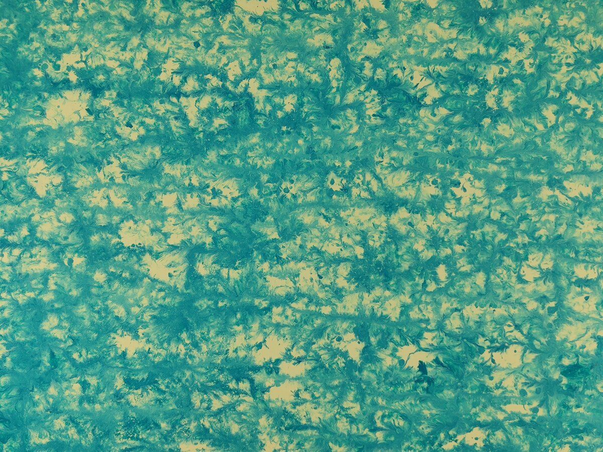 Oval Recycled Paper Earrings - Blue & White