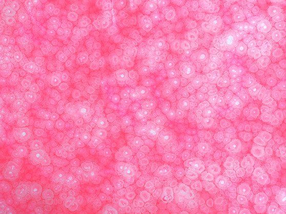 Oval Recycled Paper Earrings - Pink & White